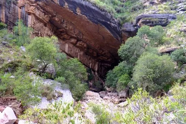 photo-2