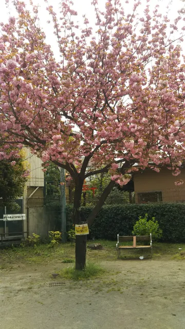 place image