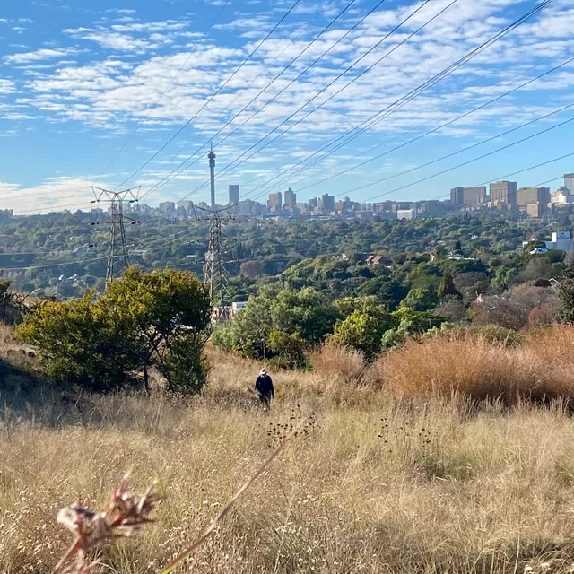 Melville Koppies EAST