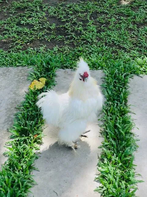 Parque Aquatico El Escuco