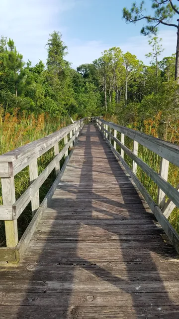 Mattie Kelly Park and Nature Walk