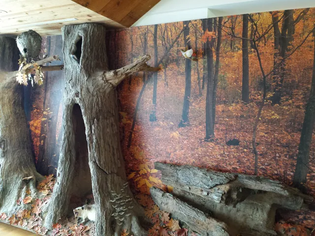 South Fork Natural History Museum & Nature Center