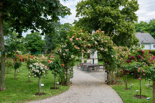 Rosarium Bad Sauerbrunn