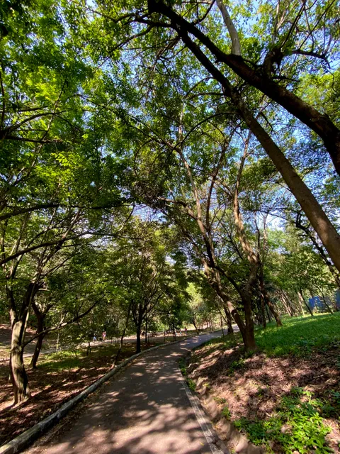 Parque Ecológico Dionísio Alvarez Mateos