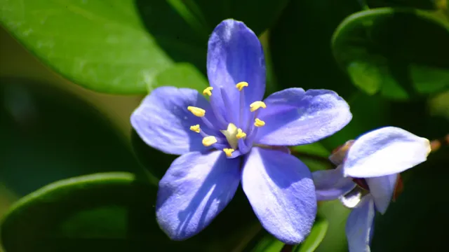Key West Tropical Forest & Botanical Garden
