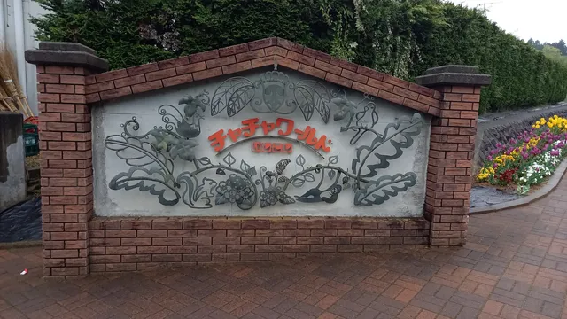 photo-1