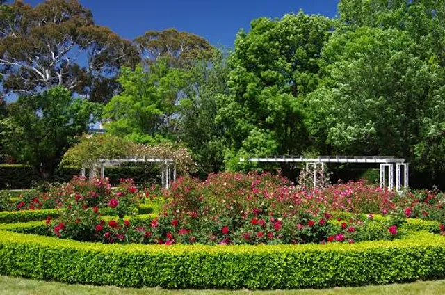 Senate Gardens | Old Parliament House Rose Gardens