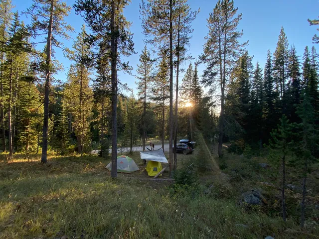 Targhee National Forest