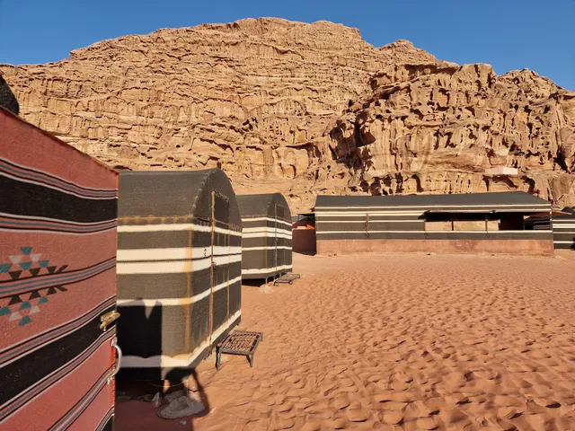 Real Bedouin Experience Tours & Camp