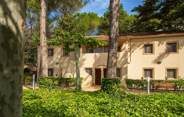 Confluent Health Resort