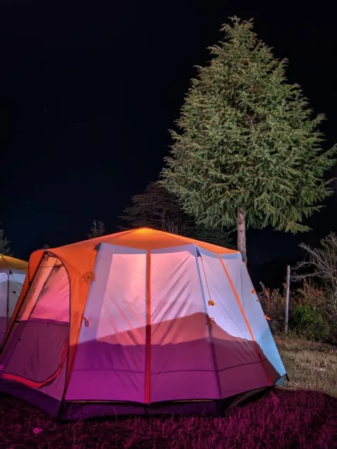 The Wilderness Camp, Shitlakhet Almora