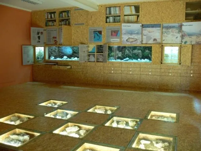 Museo Paleontologico Silvio Lai