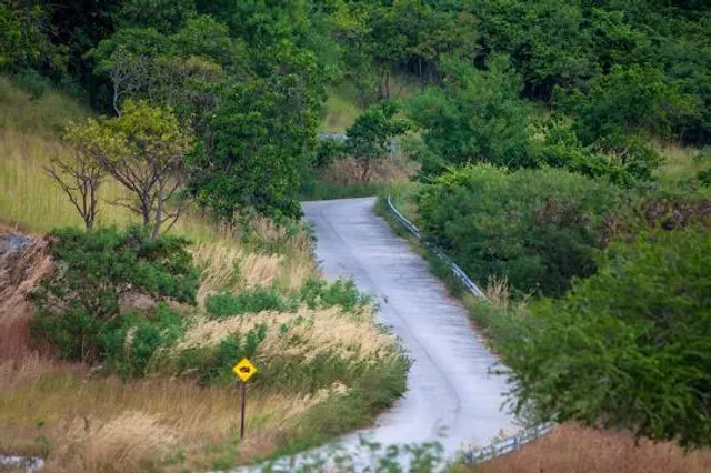 The Big Orange Tower