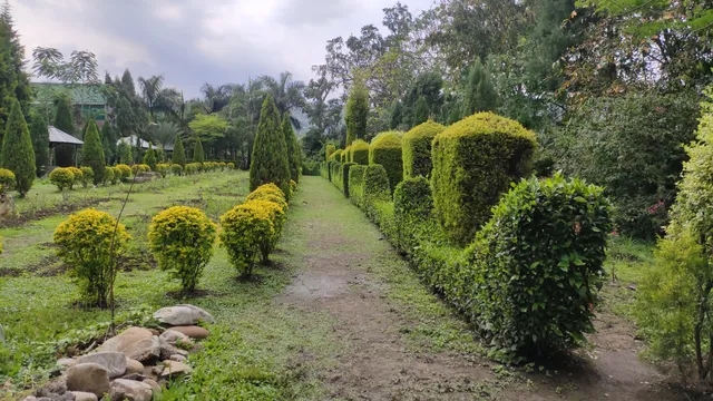 Matai Garden