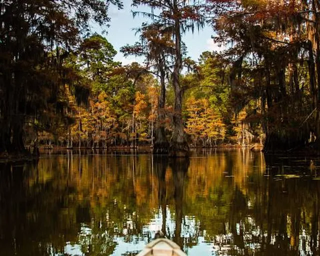 Caddo Lake National Wildlife Refuge