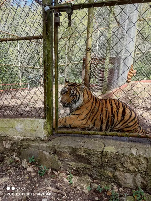 Zoologico de Trinitaria