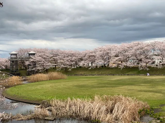 Sorimachinomori Park