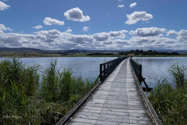 Tamar Island Wetlands Centre