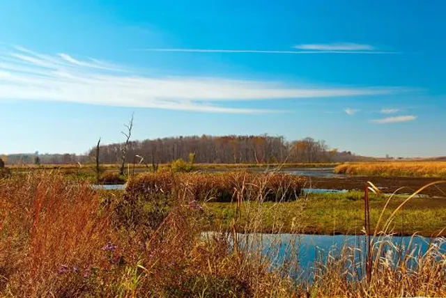Horicon Marsh