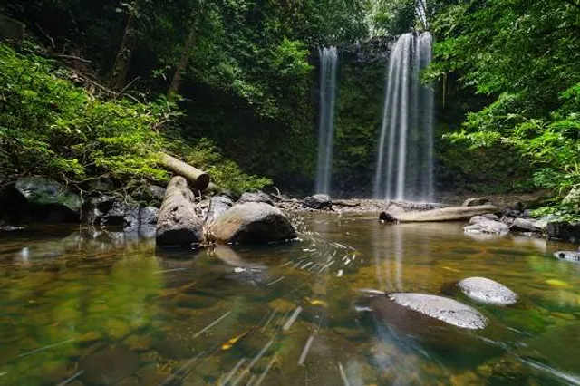 Madai Recreation Forest