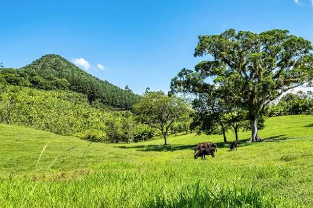 Parque Nacional da Serra do Itajaí