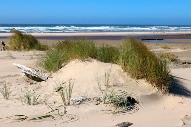 Patterson State Park