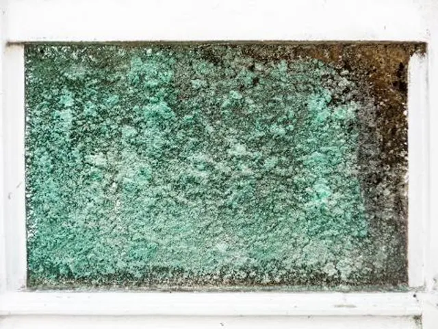 National Trout Memorial