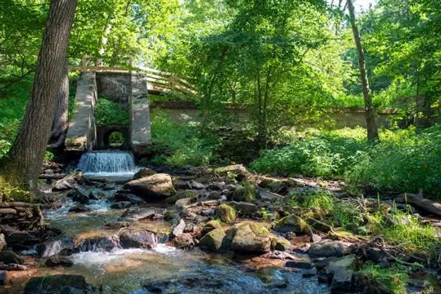 Nolde Forest - Sawmill