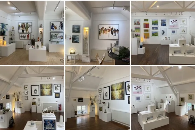 Gallery 6