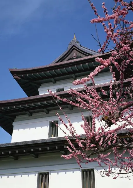photo-2