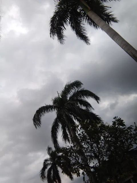 Pandacan Linear Park