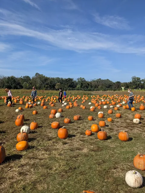 Indian Acres Tree Farm