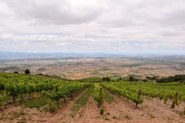 Mirador de La Diezma