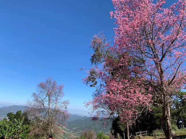 Khunsathan Watershed Research Station