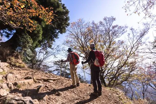 Castro Celtíbero de Peña Moñuz