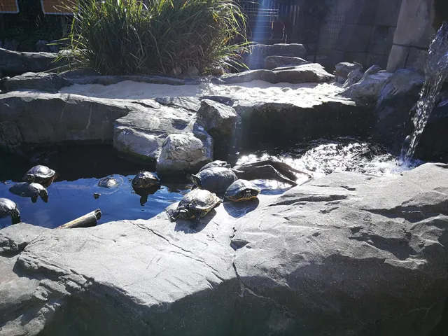 Aqua Tropical Life Location SPRL