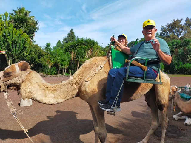 Camello center (paseos en camello y restaurante)