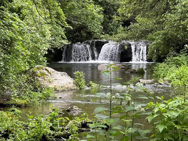 Mola di Monte Gelato