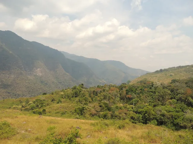 Parque Nacional Sierra de Perijá