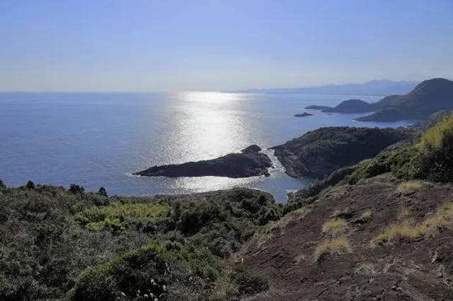 photo-3