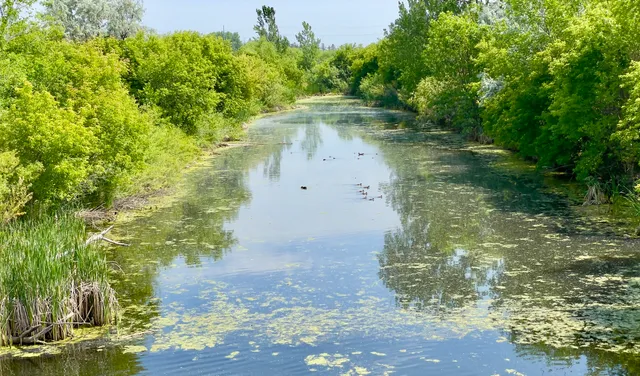place image