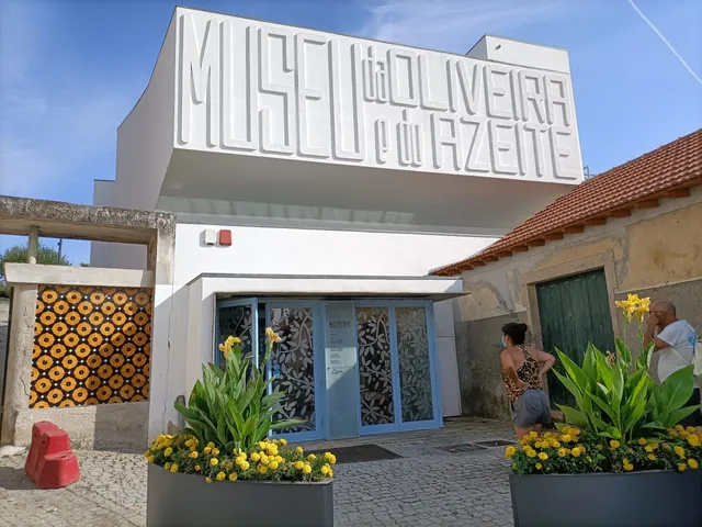 Museu da Oliveira e do Azeite