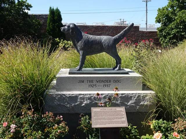 Jim The Wonder Dog Museum