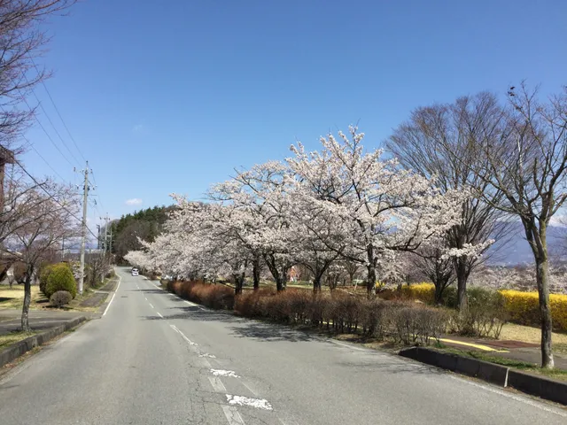 Tateshina Gongenyama Athletic Park
