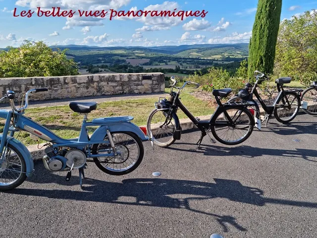 Vintage Cyclomoteurs 81