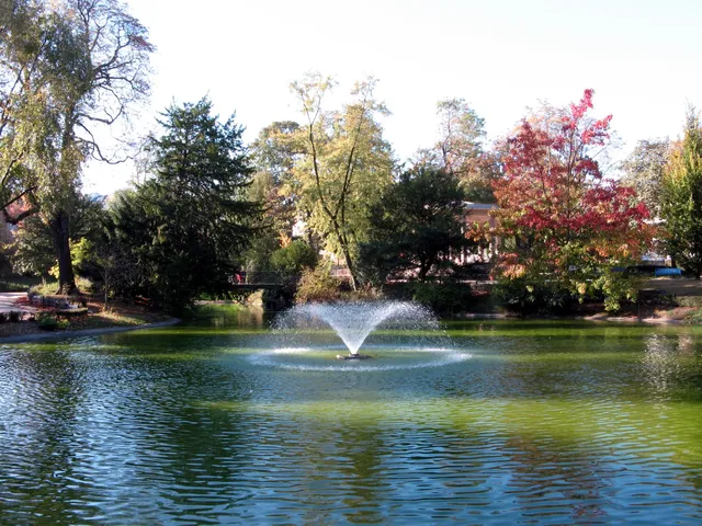 Parc de la Maison Blanche