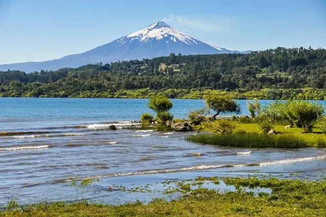Mercado Fritz, Villarrica