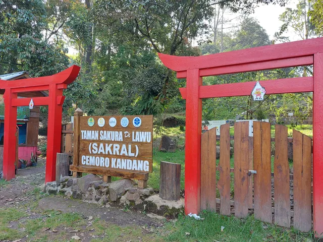 Taman SAKURA SAKRAL Cemoro Kandang Lawu