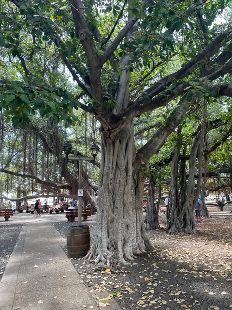 Lahaina Arts Society