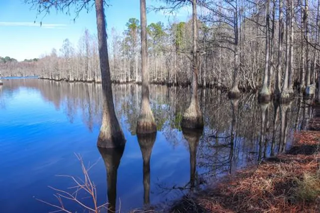 George L Smith State Park